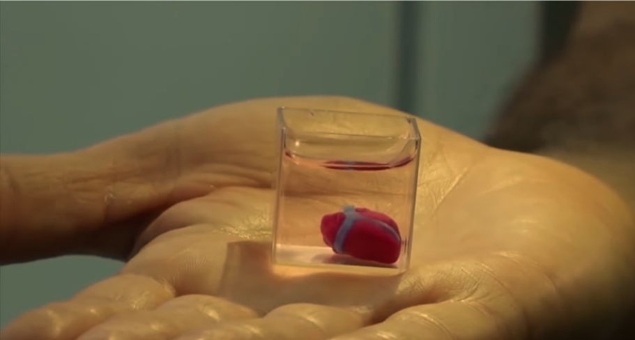 Artificial Mini Heart Produced Using Human Cells