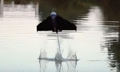 This Robot Fish Can Jump From The Water And Then Fly