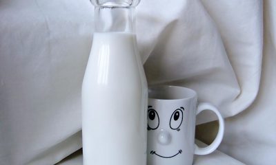 According to a Research, Milk with High Fat Increases the Aging Speed