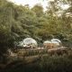 In Thailand, Vacationers Can Live And Sleep In Glass Balls Next To Elephants