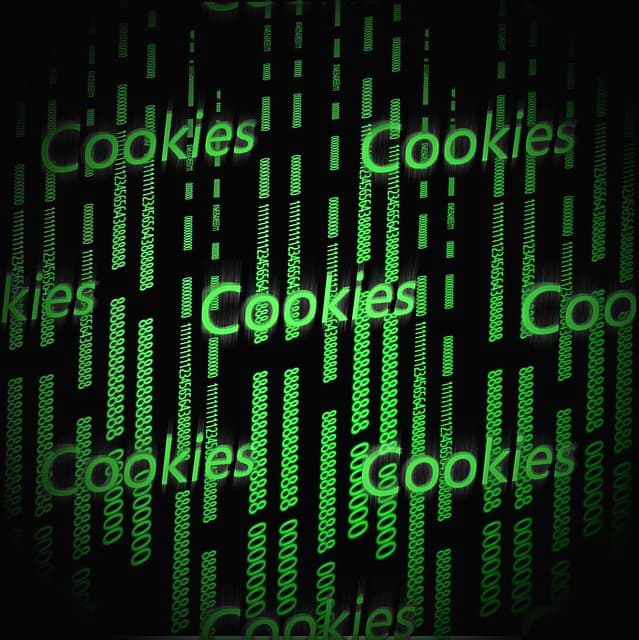 Sites Cannot Force Users To Accept Cookies, Says European Union