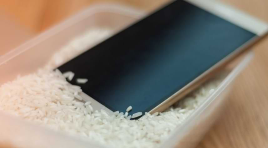 What To Do if Phone Falls in Water