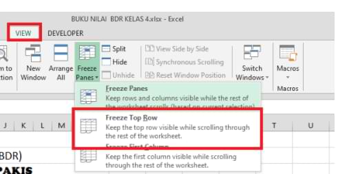 How to Freeze Panes Multiple Rows in Excel