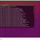 Things To Do After Installing Ubuntu 16.04 LTS Xenial Xerus