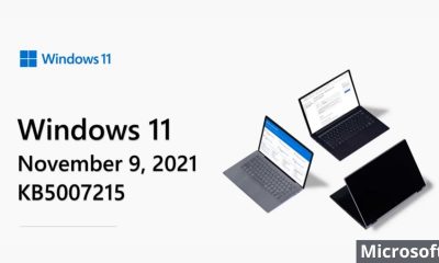 Microsoft Releases Cumulative Update November 2021 For Windows 11