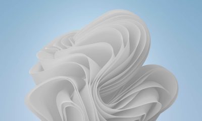 Microsoft Rilis Wallpaper “Snow-White Bloom”