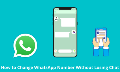 How to Change WhatsApp Number Without Losing Chat