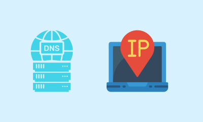 Difference between DNS and IP